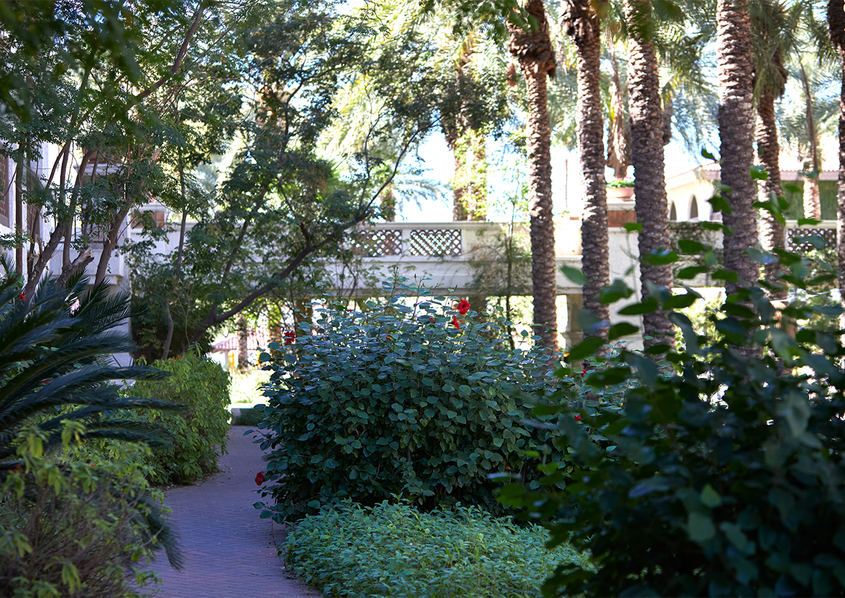 Experience Oasis Water Park In Phoenix Arizona Grand Resort & Spa