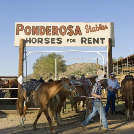 Ponderosa Stables