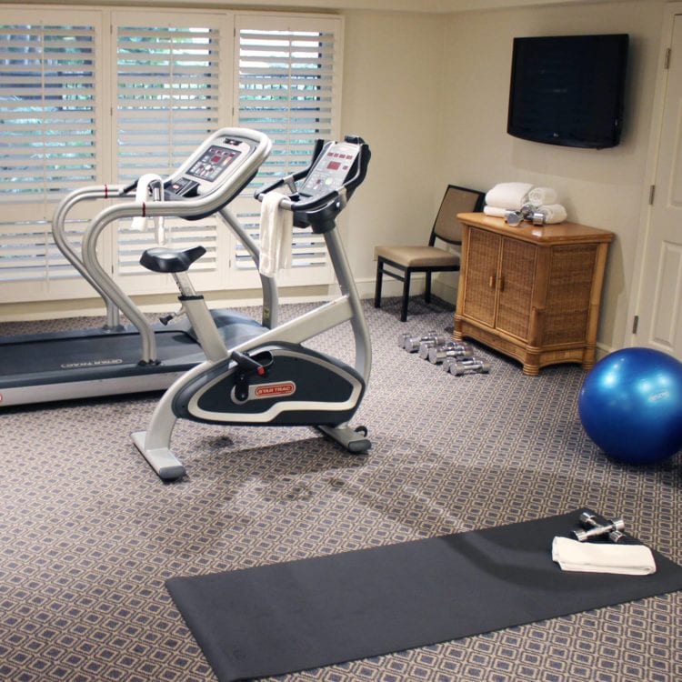 Guest suite with treadmill, exercise bike, yoga mat, weights, towels, tv and exercise balls