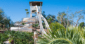 Arizona Grand Resort’s signature water slide tower surrounded by lush palm trees and desert landscaping.